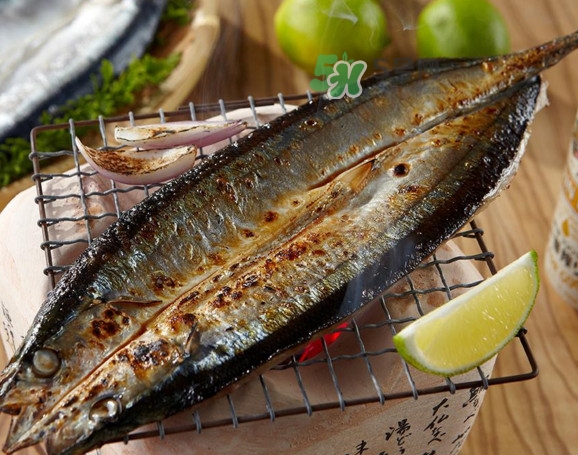 秋刀魚有刺嗎？秋刀魚刺多嗎？
