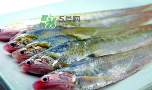 刁子魚是秋刀魚嗎？刁子魚是海魚嗎？