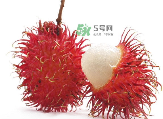 ç´…æ¯›ä¸¹å¯ä»¥å¸¶ä¸Šé£›æ©Ÿ(jÄ«)å—Žï¼Ÿç´…æ¯›ä¸¹èƒ½å¸¶ä¸Šé£›æ©Ÿ(jÄ«)å—Ž