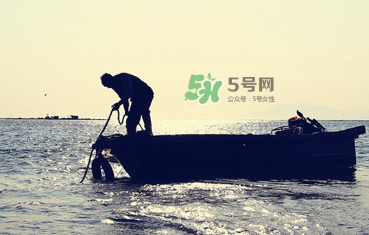 剝皮魚孕婦可以吃嗎？懷孕可以吃剝皮魚嗎？