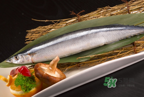 秋刀魚(yú)是不是鲅魚(yú)？秋刀魚(yú)和鲅魚(yú)的區(qū)別