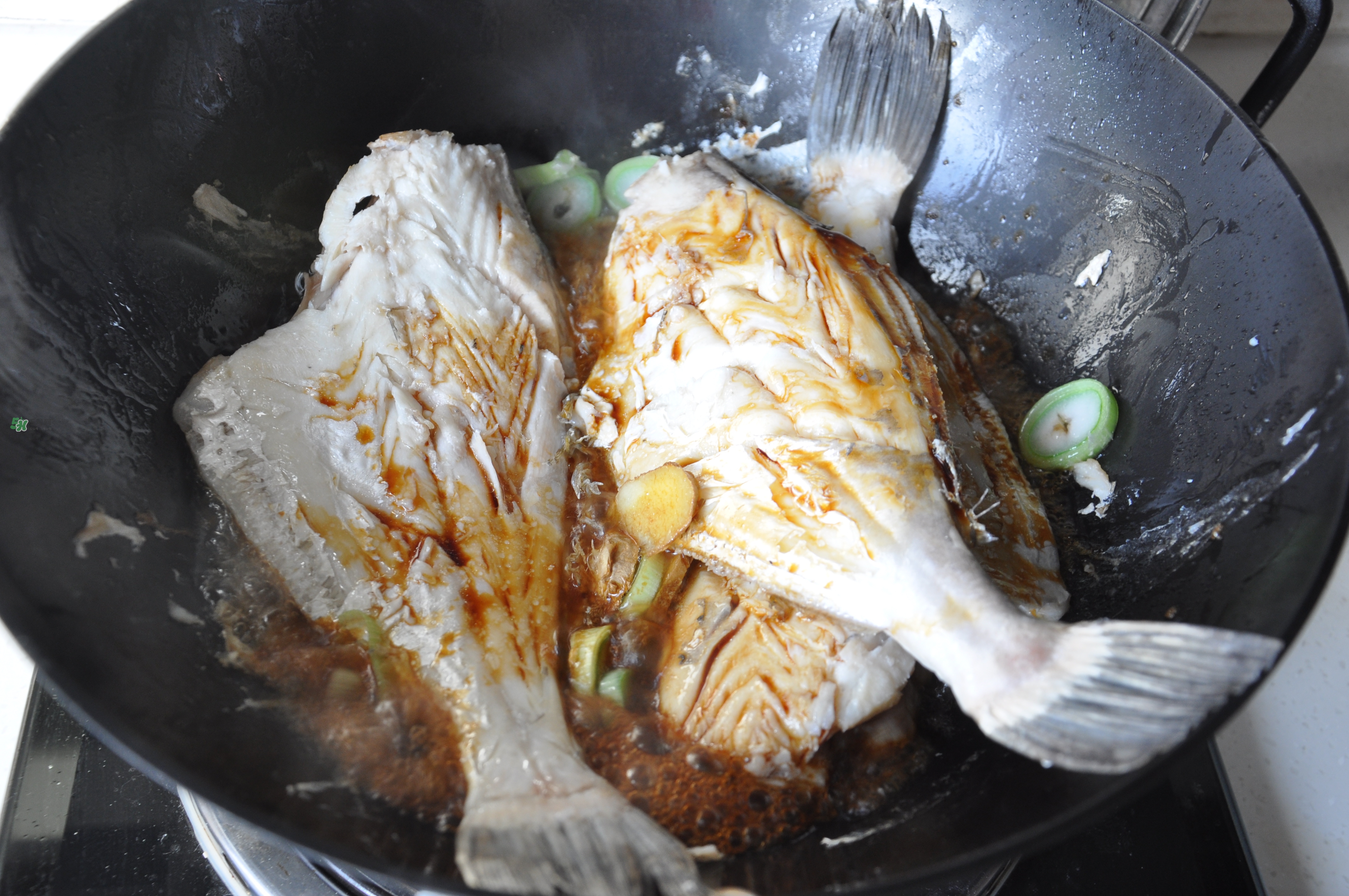 剝皮魚孕婦可以吃嗎？懷孕可以吃剝皮魚嗎？