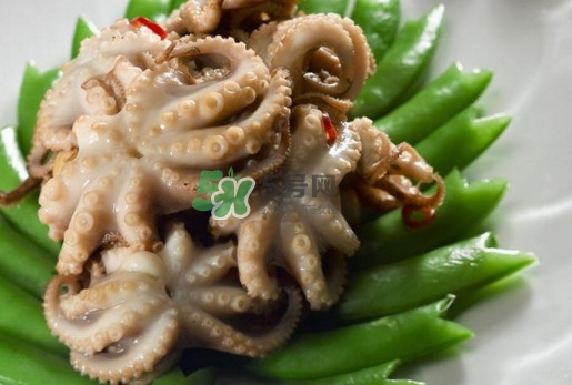 八爪魚的頭能吃嗎？八爪魚的頭里面是什么
