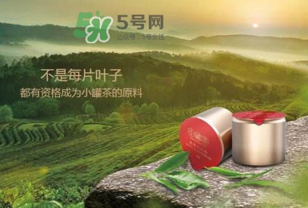 å°ç½èŒ¶æ˜¯ä»€ä¹ˆèŒ¶ï¼Ÿå°ç½èŒ¶æ˜¯å“ªå…«ç¨®èŒ¶ï¼Ÿ