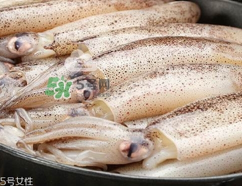 海兔子是什么？海兔子是墨魚嗎