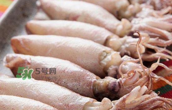海兔子是小魷魚嗎？海兔子和魷魚的區別