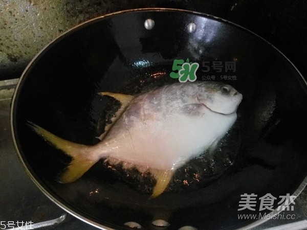 金鯧魚是海魚嗎？金鯧魚的刺多嗎？