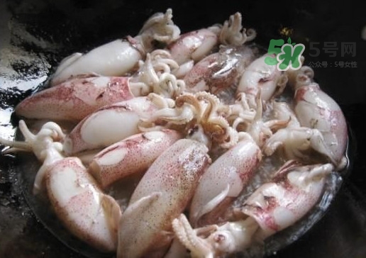 筆管魚是魷魚嗎？筆管魚和魷魚的區(qū)別