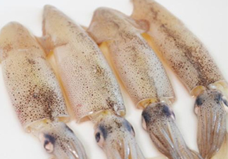 筆管魚是什么魚？筆管魚怎么吃