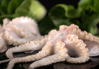 章魚有幾只腳？章魚有幾個爪子