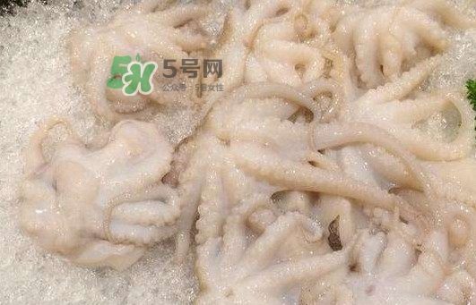 八爪魚的頭能吃嗎？八爪魚的頭里面是什么