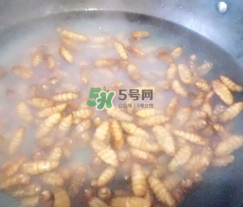 蜂蛹怎么保存？蜂蛹怎么做好吃？