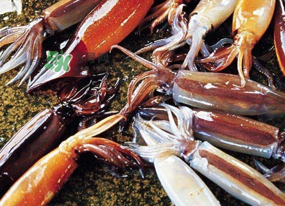 魷魚是堿性食物嗎？魷魚是酸性還是堿性？