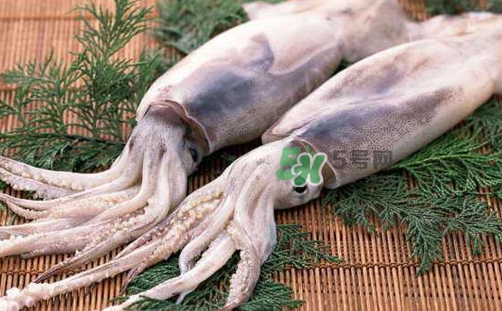 魷魚頭怎么切？魷魚怎么切花刀