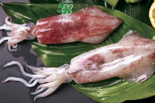 新鮮魷魚怎么處理？魷魚怎么清洗？