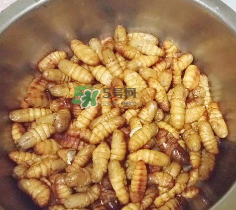 蜂蛹怎么保存？蜂蛹怎么做好吃？