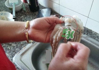魷魚是堿性食物嗎？魷魚是酸性還是堿性？