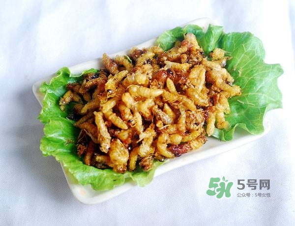 蜂蛹怎么保存？蜂蛹怎么做好吃？