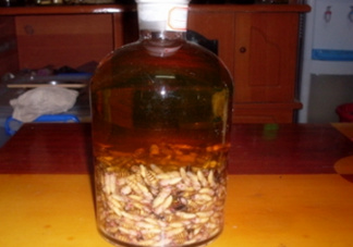 蜂蛹和枸杞能一起泡酒嗎？蜂蛹和枸杞泡酒的功效