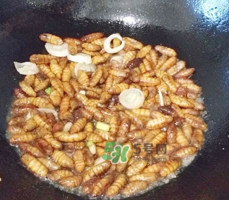 蜂蛹怎么保存？蜂蛹怎么做好吃？