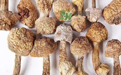 干松茸怎么清洗？干松茸如何辨別真偽