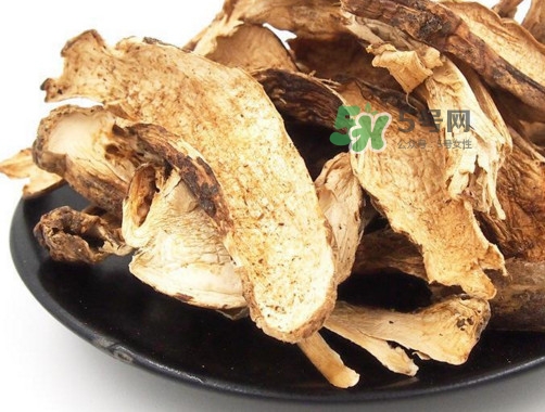 干松茸怎么清洗？干松茸如何辨別真偽