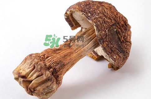 產婦能吃松茸嗎？哺乳期可以吃松茸嗎