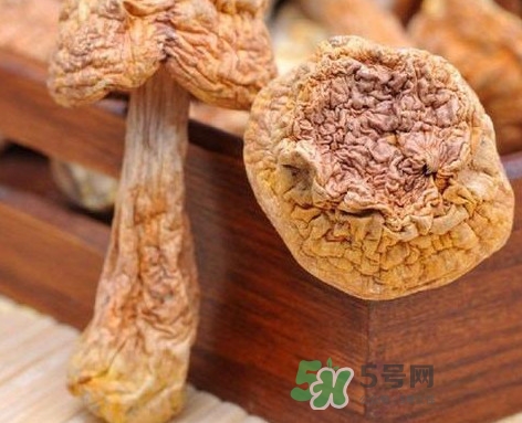 干松茸怎么清洗？干松茸如何辨別真偽