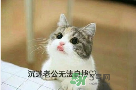 南方老公和東北老公哪個好？南方老公和東北老公的區別