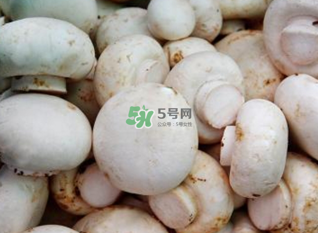 蘑菇變黑了還能吃嗎？蘑菇怎么保存？