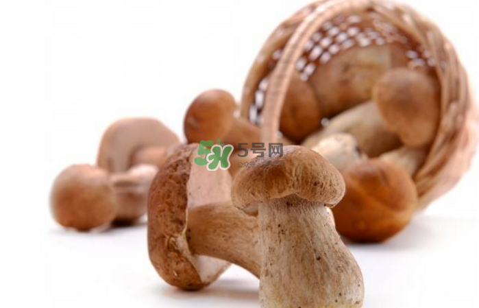 蘑菇能放冰箱嗎？蘑菇能放冰箱多長時間？
