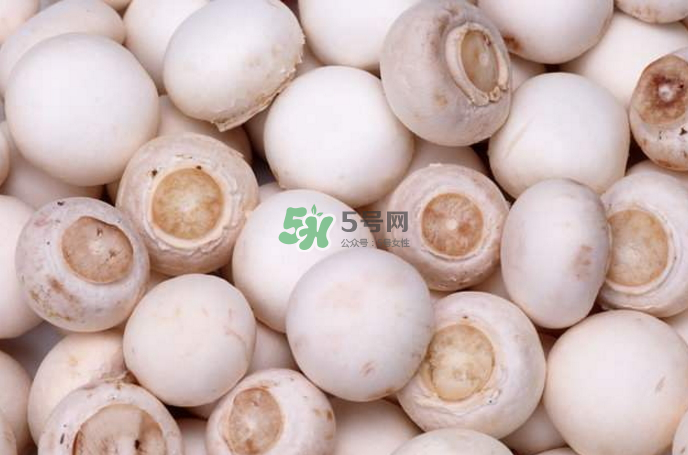 蘑菇能放冰箱嗎？蘑菇能放冰箱多長時間？