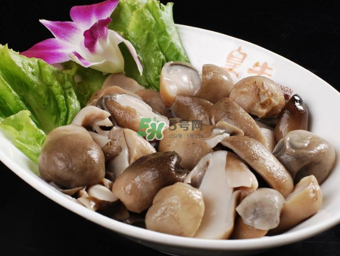 草菇孕婦能吃嗎？草菇要煮多久可以吃？