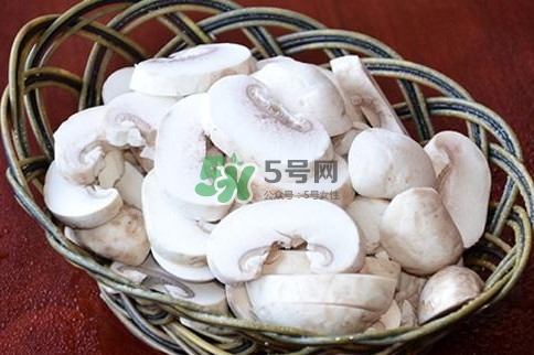 口蘑是發物嗎？口蘑是白蘑菇嗎