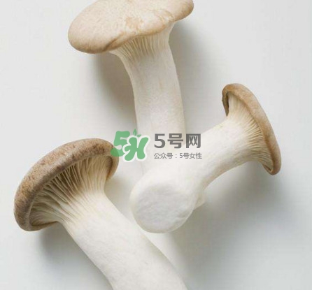 杏鮑菇用水焯嗎？杏鮑菇怎么做好吃