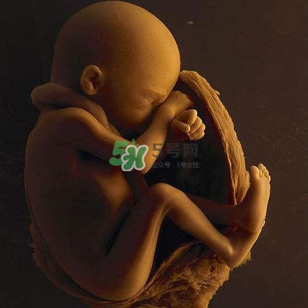 臍帶繞頸是什么意思？臍帶繞頸兩周怎么糾正？