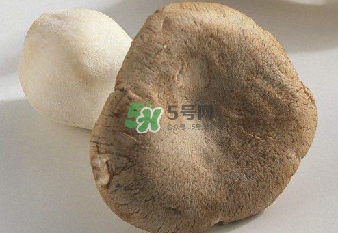 杏鮑菇用水焯嗎？杏鮑菇怎么做好吃