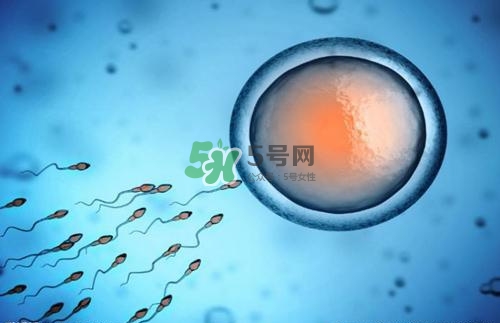 精子在女性體內可以存活多久？男性的精子會枯竭嗎？