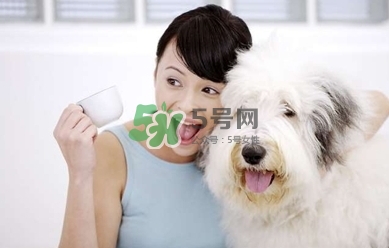 孕婦能養狗嗎？孕婦養狗注意事項