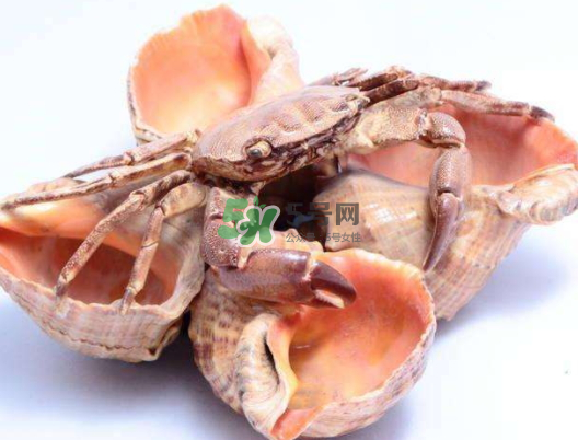 螃蟹殼里的東西是什么？螃蟹殼里什么不能吃？