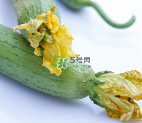 秋天絲瓜有毒嗎？秋天絲瓜能吃嗎？