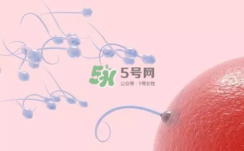 精子在女性體內可以存活多久？男性的精子會枯竭嗎？