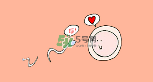 精子在女性體內可以存活多久？男性的精子會枯竭嗎？