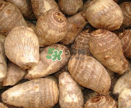 香芋如何種植？香芋的種植方法