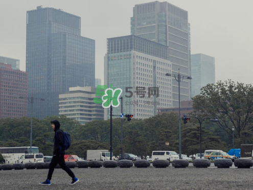 citera是什么牌子？citera是什么檔次？