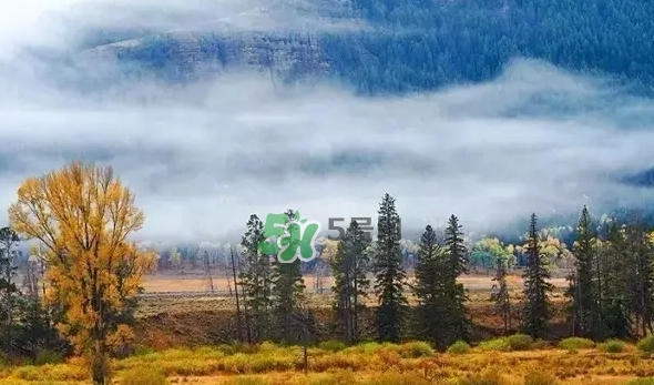 白露是寒露嗎？白露和寒露的區別