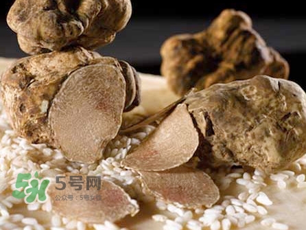 松露為什么那么貴？松露為什么這么貴？
