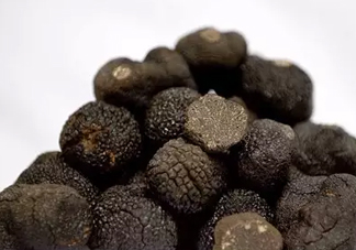 世界最大的松露是在哪個國家發現的？松露怎么吃