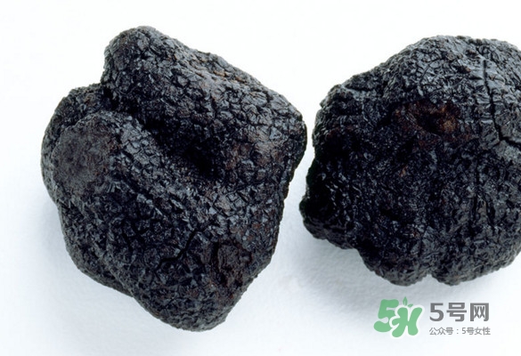 世界最大的松露是在哪個國家發現的？松露怎么吃