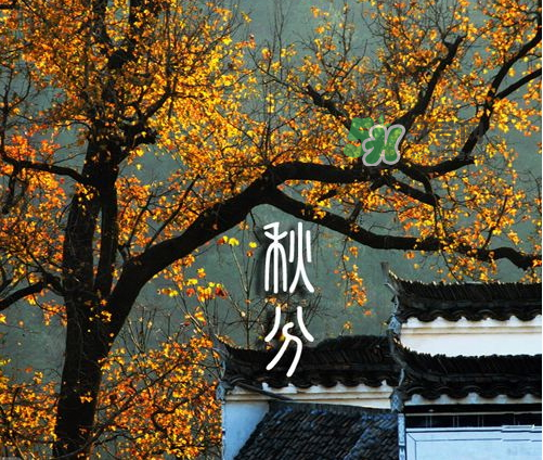 2017秋分會下雨嗎？2017秋分下雨好不好？